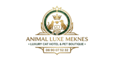 logo removebg preview