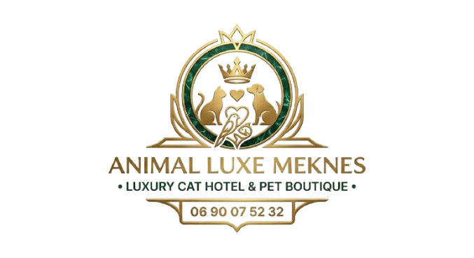 logo removebg preview