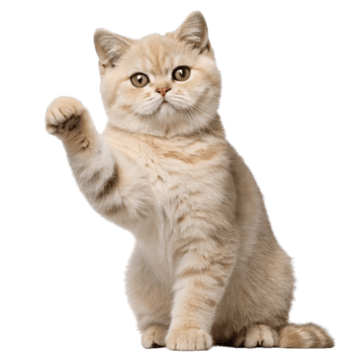 pngtree adorable golden cat clipart standing illustration png image 14489824