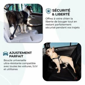 img 0190
